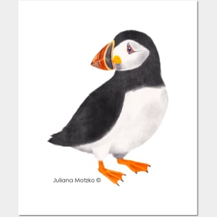 Puffin Bird Posters and Art